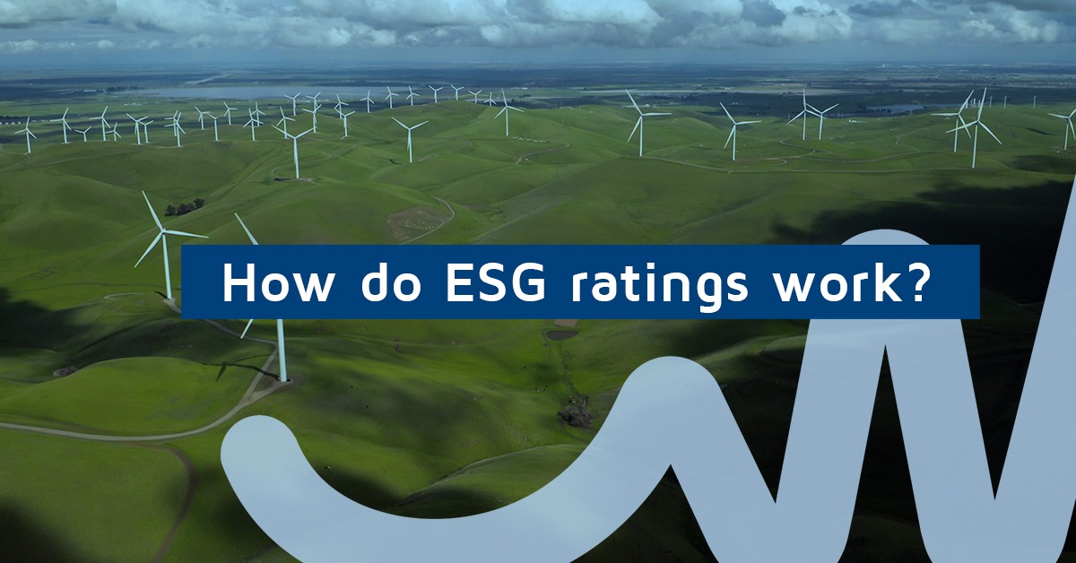 MicroHow do ESG rating works?
