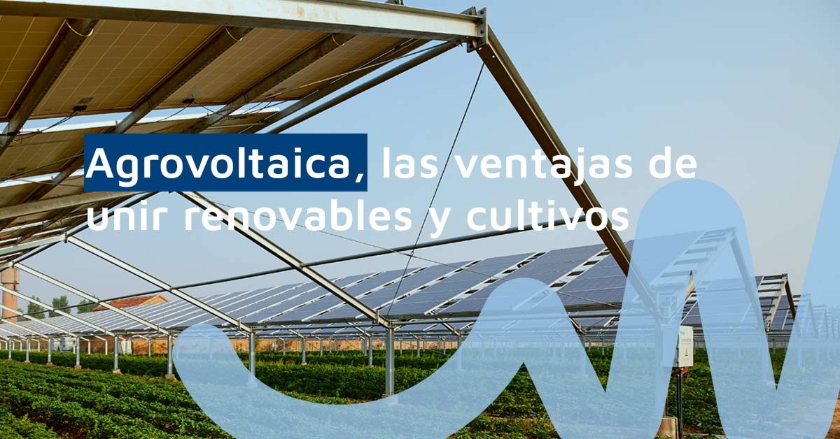 Ventajas de la agrovoltaica