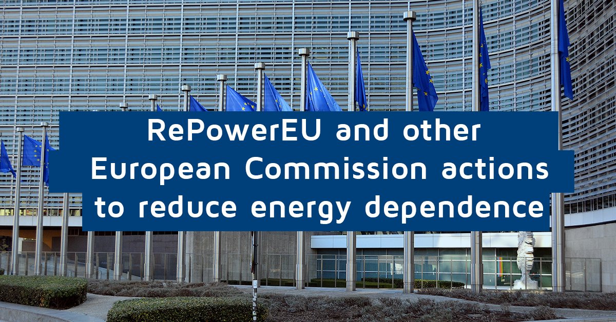 RePowerEU Plan and some Actions of the European Commission to reduce energy dependence