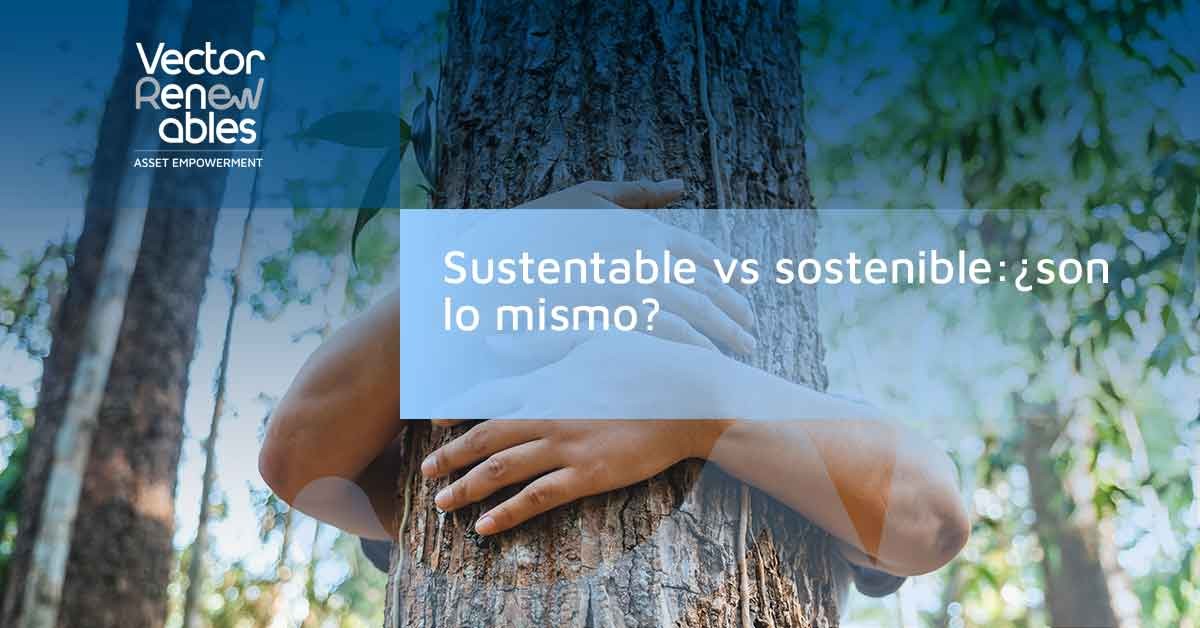 sustentable vs sostenible