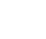 Vector Renewables